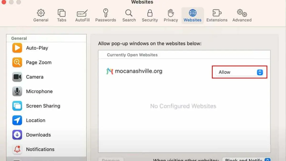 How to Allow Pop-Ups for One Website on Safari for iOS (iPhone and iPad) – how to allow pop-ups for one website in Safari