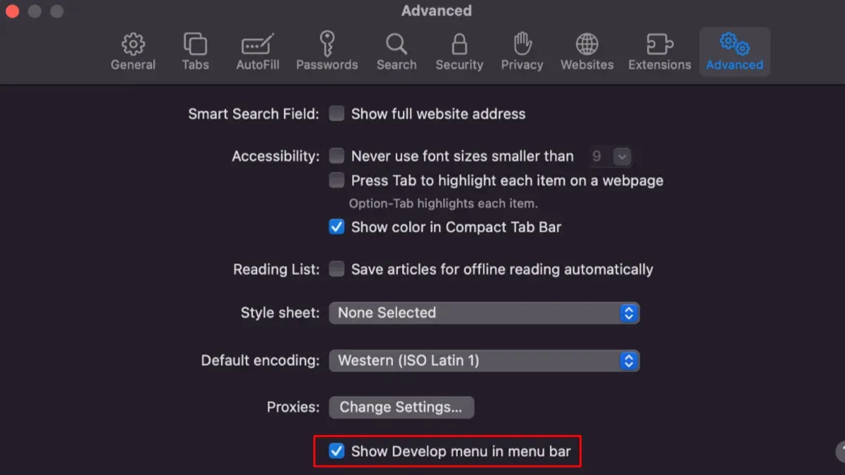 When Not to Enable the Develop Menu: Considerations and Risks – how to enable the Develop menu in Safari