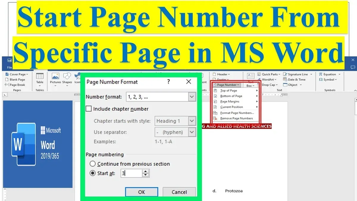 How to add page numbers starting on page 2 or specific pages – how to add page numbers in Pages