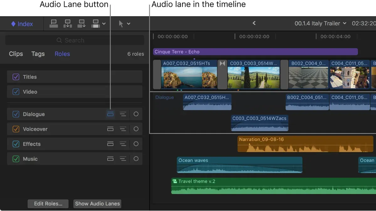 Assign audio roles to clips in the timeline – how to assign audio roles in Final Cut Pro