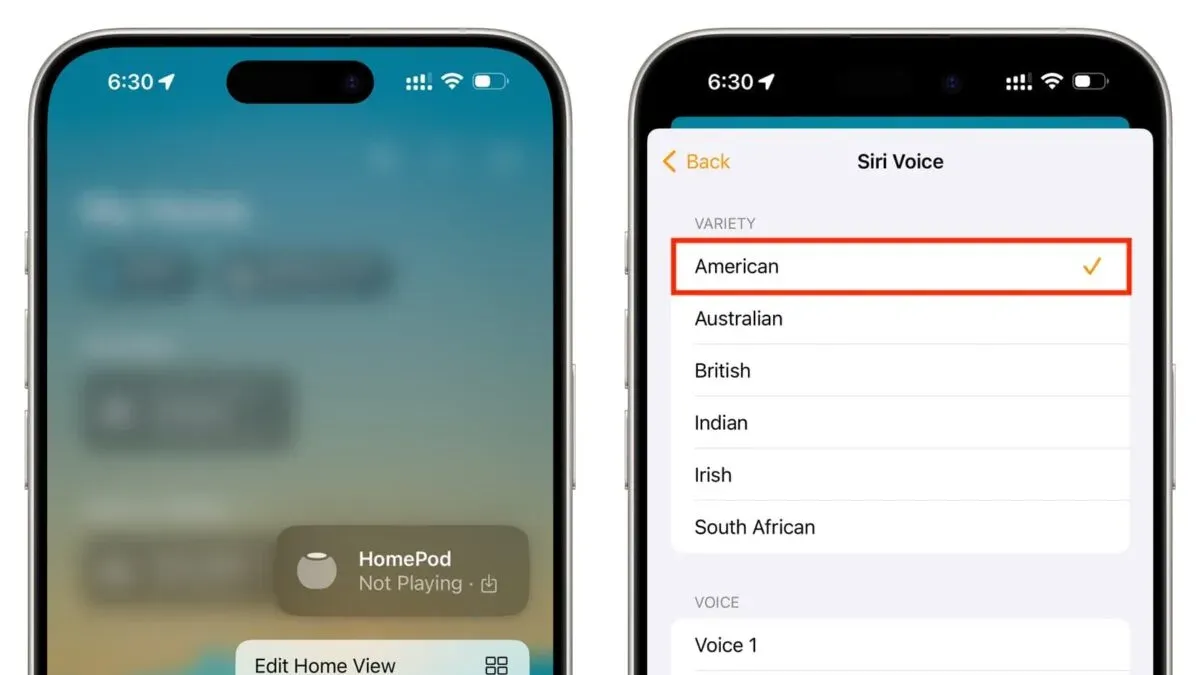 How to change Siri voice on iPhone and why it differs from Mac – how to change Siri voice on Mac