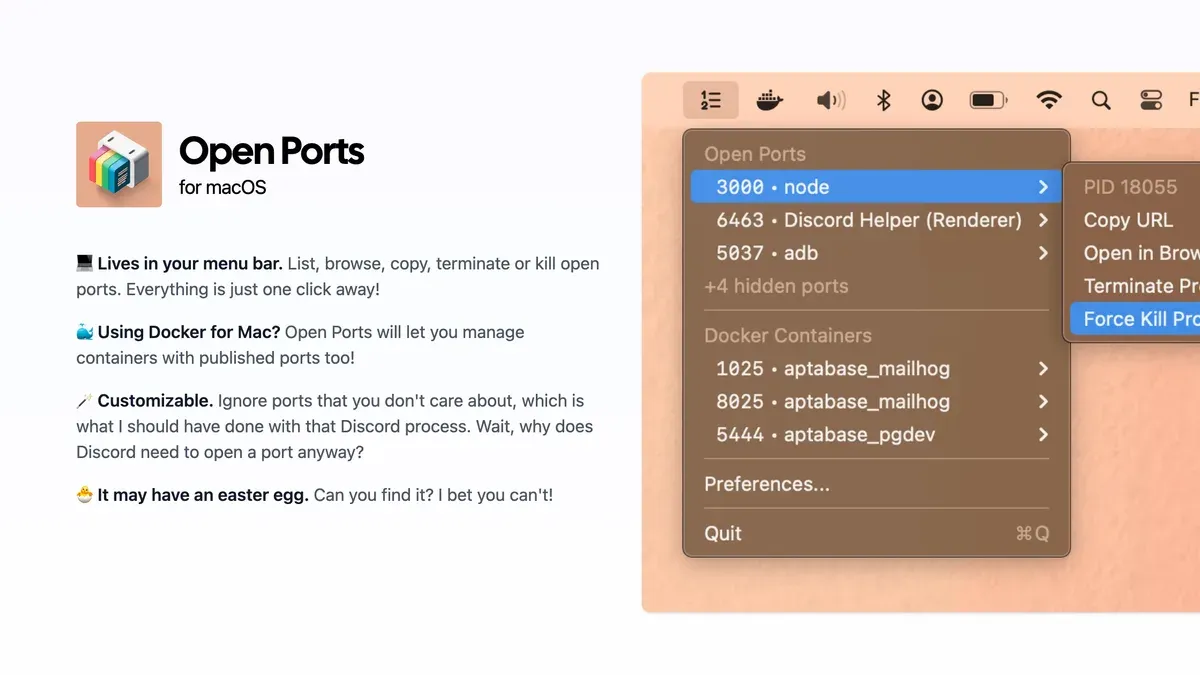 How to open a port on Mac if needed – how to check open ports in Mac Terminal