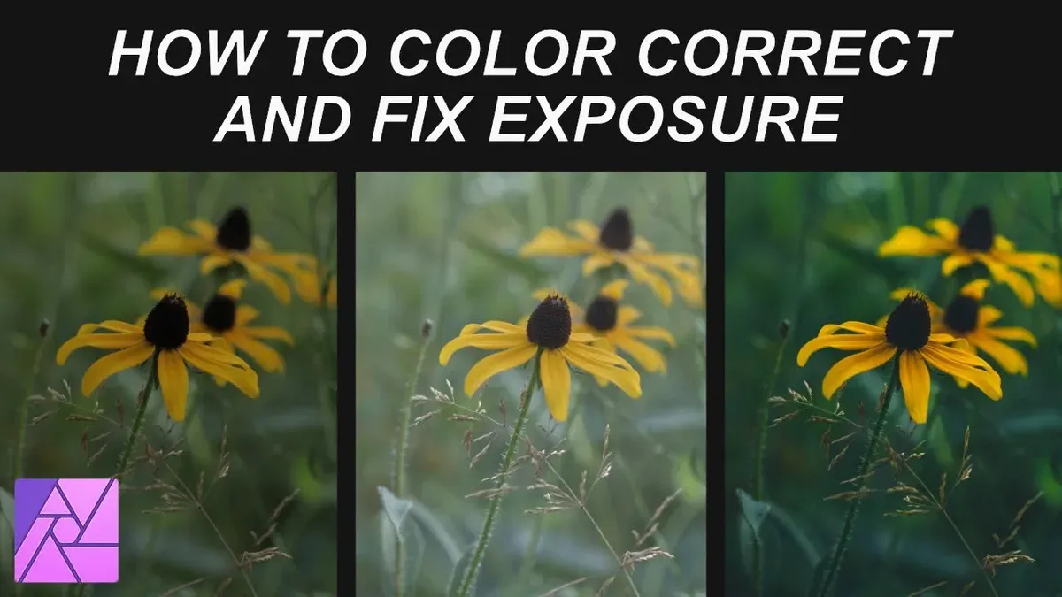 Adjust color balance and exposure to correct your clip’s look – how to color correct a clip in iMovie