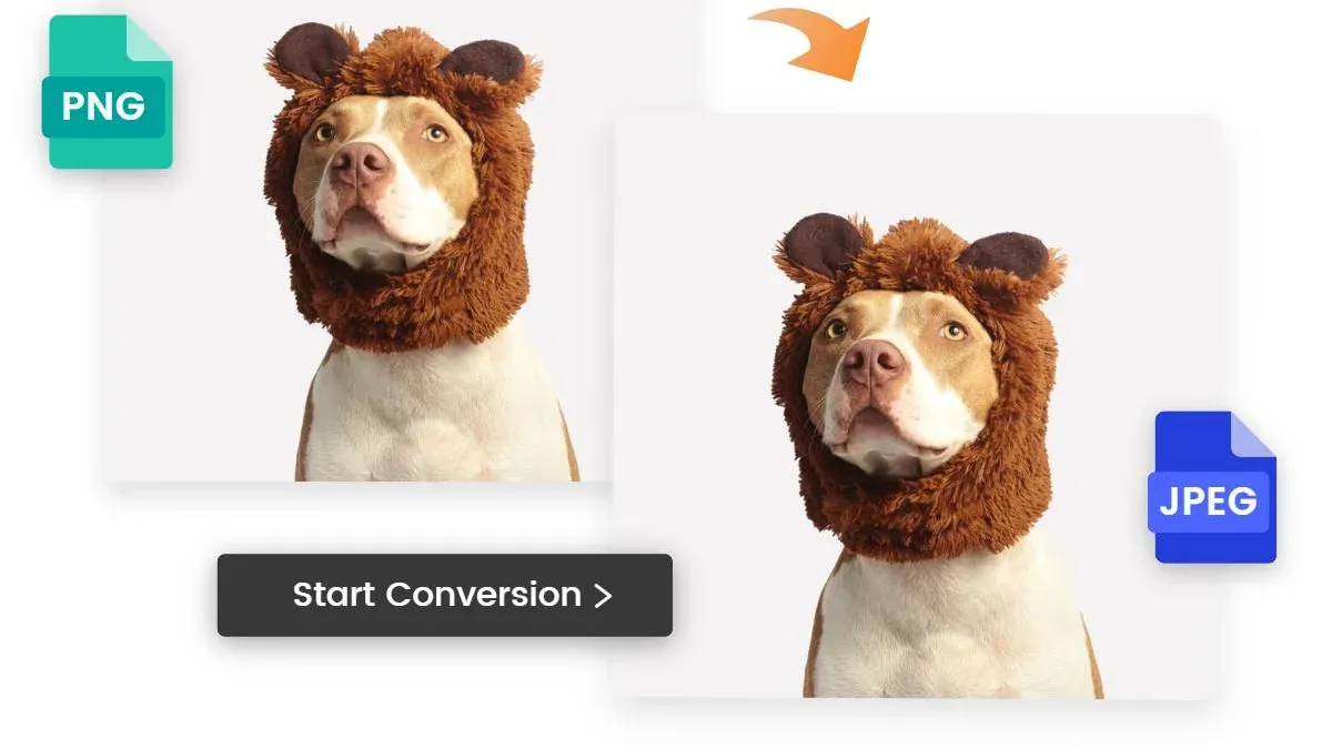 How to convert PNG to JPG in Preview – how to convert PNG to JPG in Preview