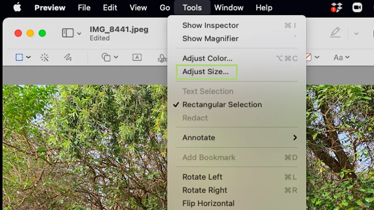 How to manually crop an image by adjusting the selection precisely – how to crop an image in Preview