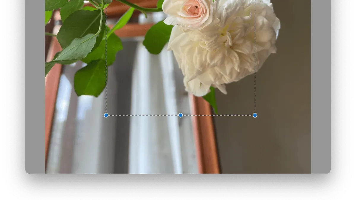 Tips for making images larger and cropping in Preview – how to crop an image in Preview