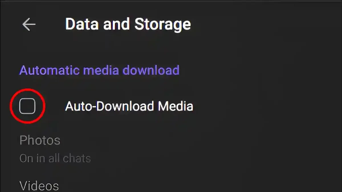 Troubleshoot Common Issues with Automatic Media Downloads – how to download media automatically in WhatsApp Desktop on Mac