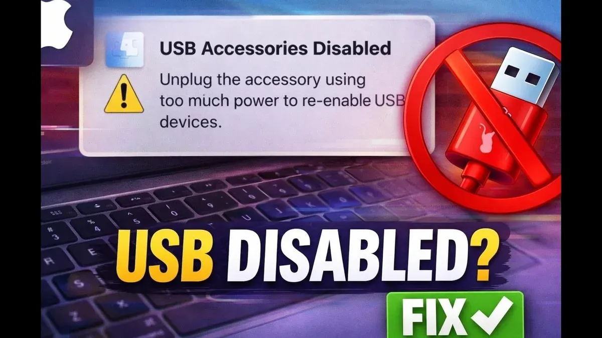 Turn Off Low Power Mode and Check Power Management Settings – USB accessories disabled on Mac fix