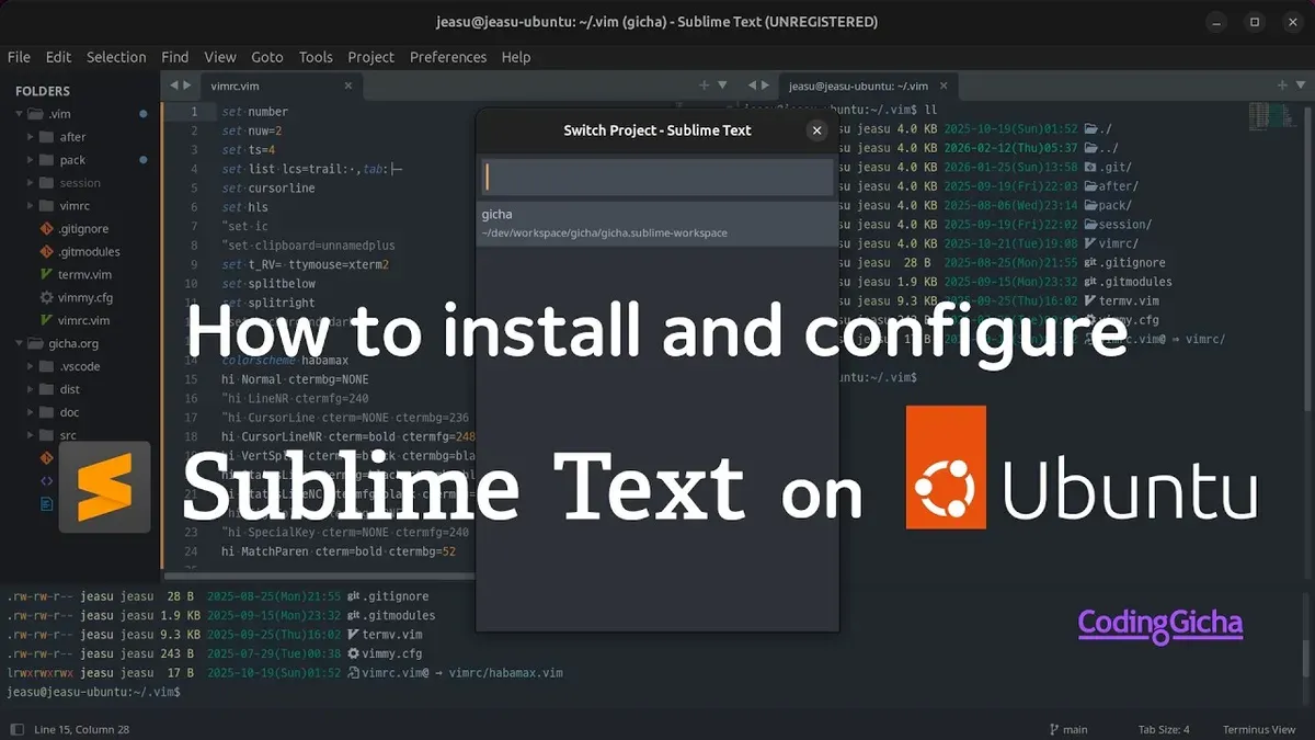 How to install Sublime Text on Ubuntu (brief comparison) – how to install Sublime Text on Mac