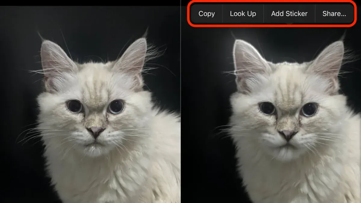 Troubleshooting common issues lifting subjects in Photos app – how to lift subject from background in Photos app
