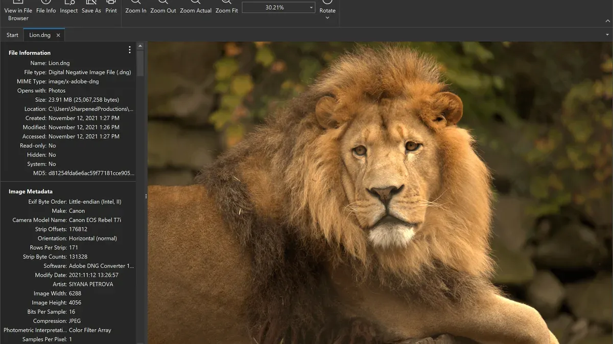 How to open.dng files on Mac with professional photo editing software – how to open .dng file on Mac