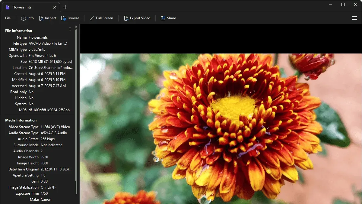 How to download an MTS example file to test playback on Mac – how to open .mts file on Mac