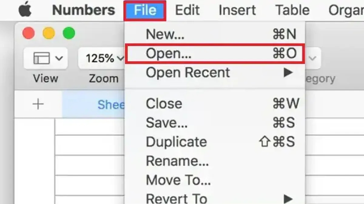 How to open.xlsx file on Mac shown on MacBook screen with spreadsheet open