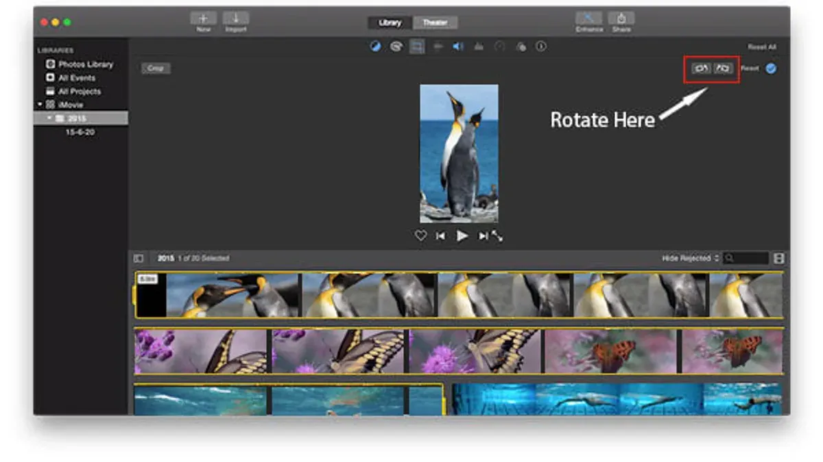 How to rotate your dinosaur video or other special clips in iMovie – how to rotate a video in iMovie