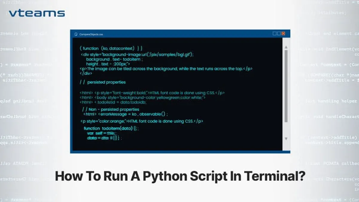 Running Python scripts in VS Code terminal on Mac – how to run Python scripts in Mac Terminal