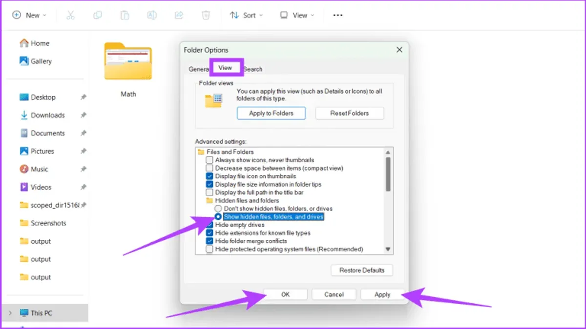 Step 2: Restart Finder to apply changes – how to show hidden files with Terminal in Mac Terminal