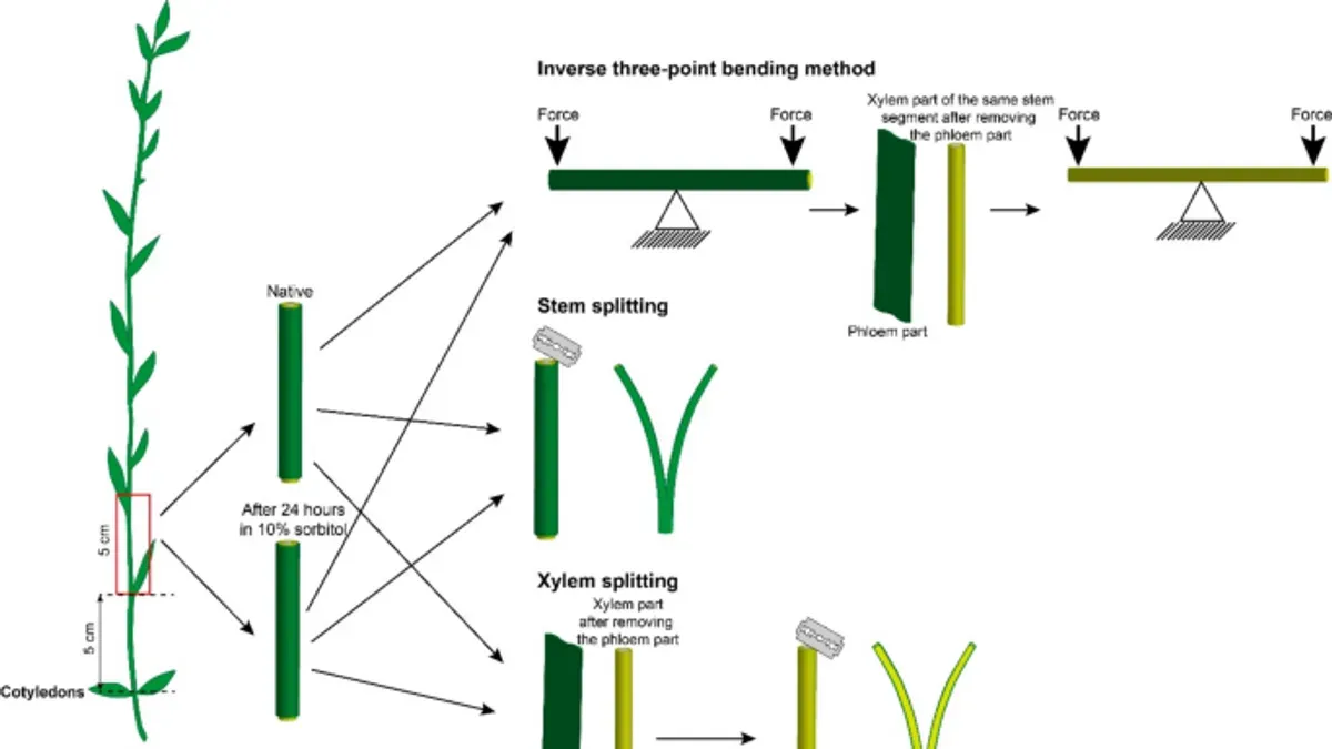 Manual Refinements After Stem Splitting – how to split stems with Stem Splitter in Logic Pro