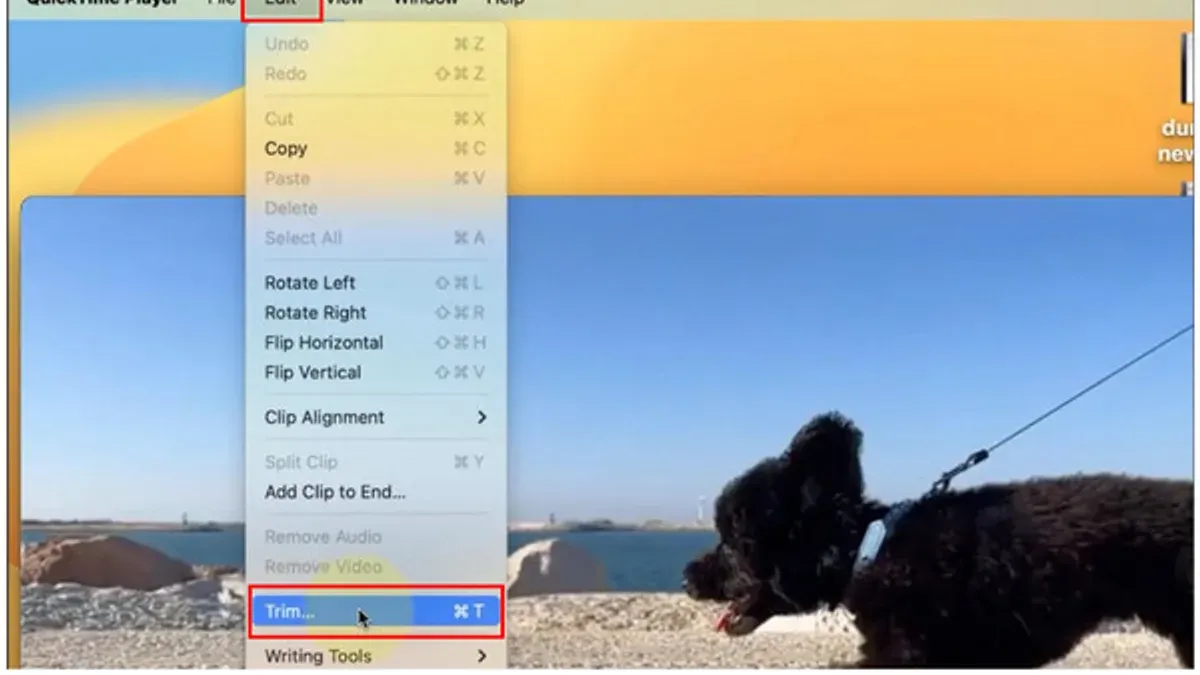 How to reduce size of QuickTime video files effectively – how to trim a video in QuickTime Player