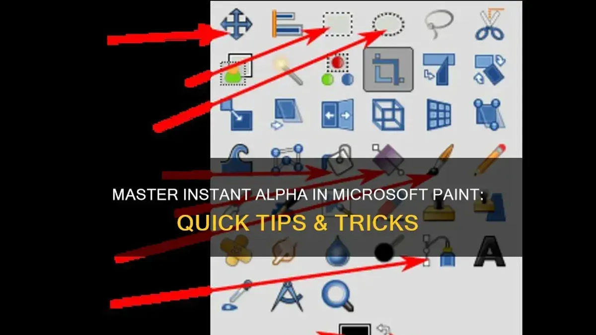 Troubleshooting common Instant Alpha issues – how to use Instant Alpha in Preview
