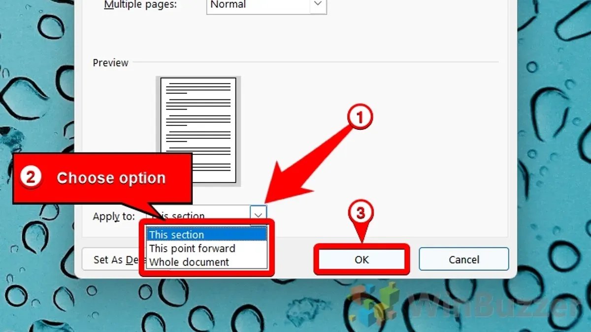 User changing page margins in Pages app on MacBook and iPad