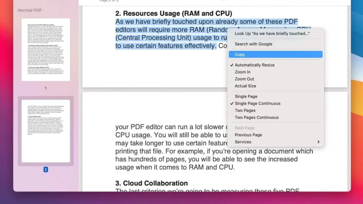 Person converting PDF to Word on Mac using a MacBook with document editing software visible