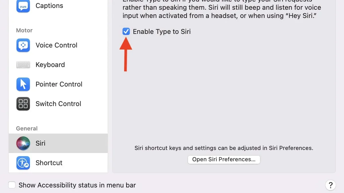 User typing commands using Type to Siri on Mac in a quiet environment