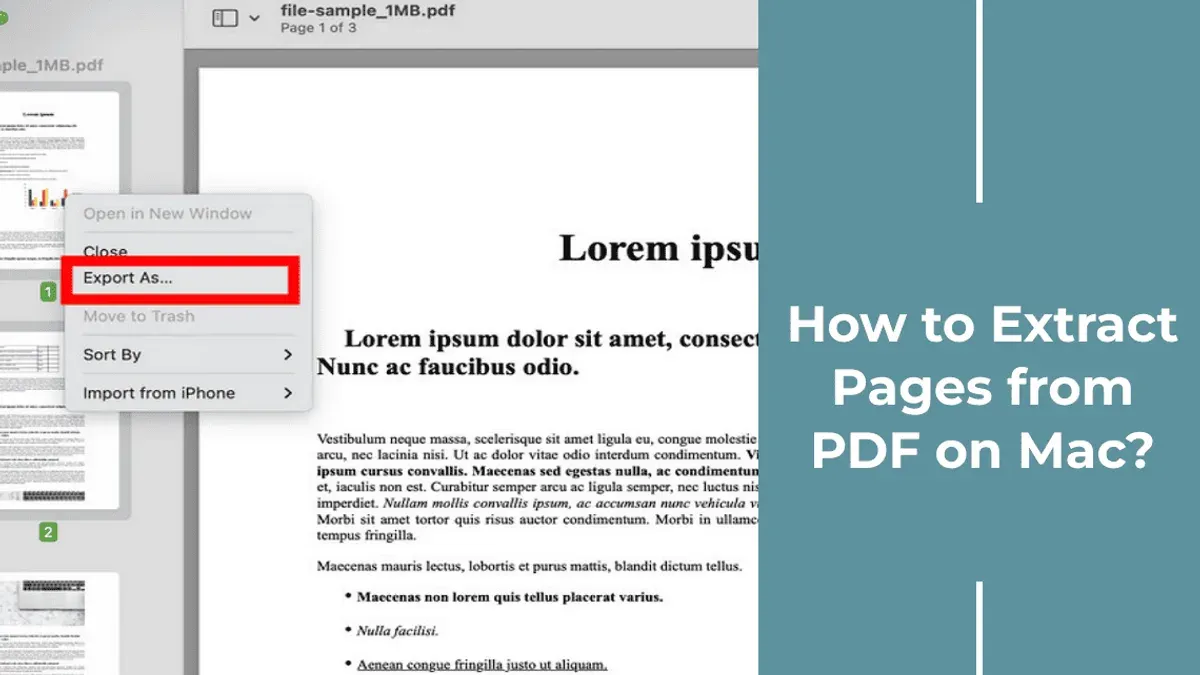 MacBook displaying how to extract pages from a PDF in Preview with thumbnails sidebar