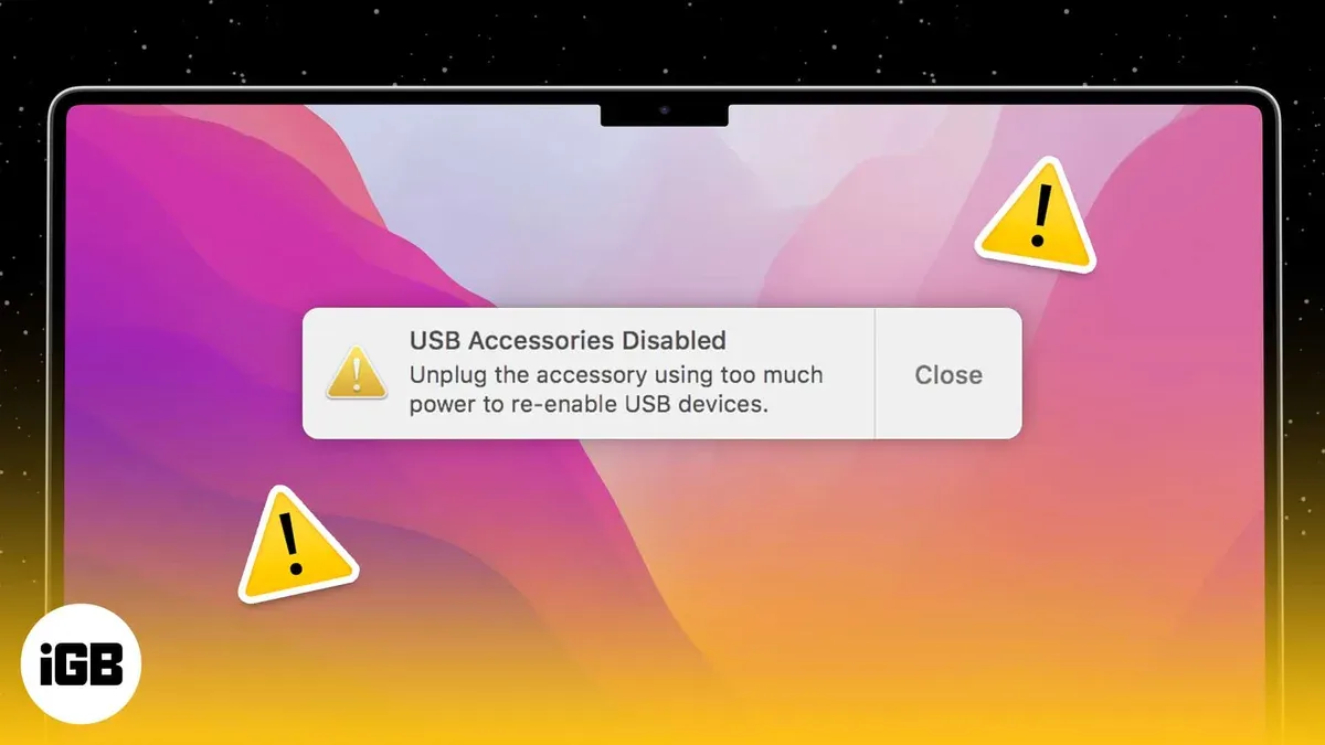 Fix USB accessories disabled on Mac by troubleshooting USB connection on a laptop