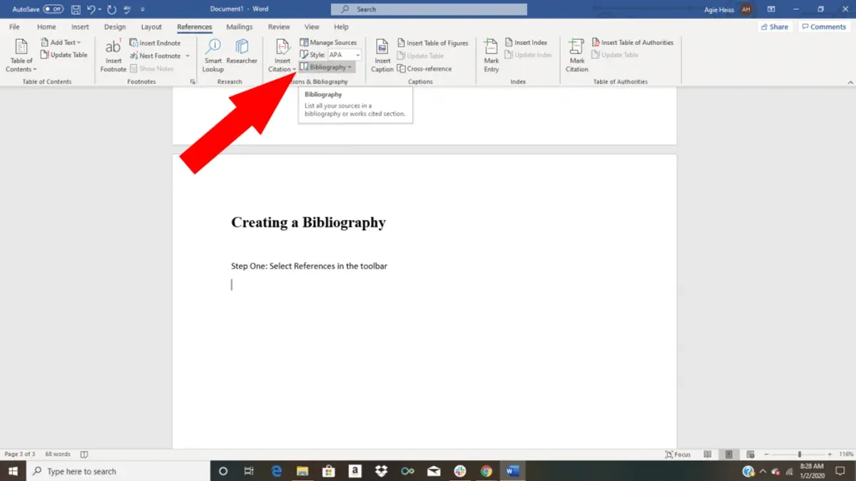 User inserting citations in Microsoft Word on Mac screen