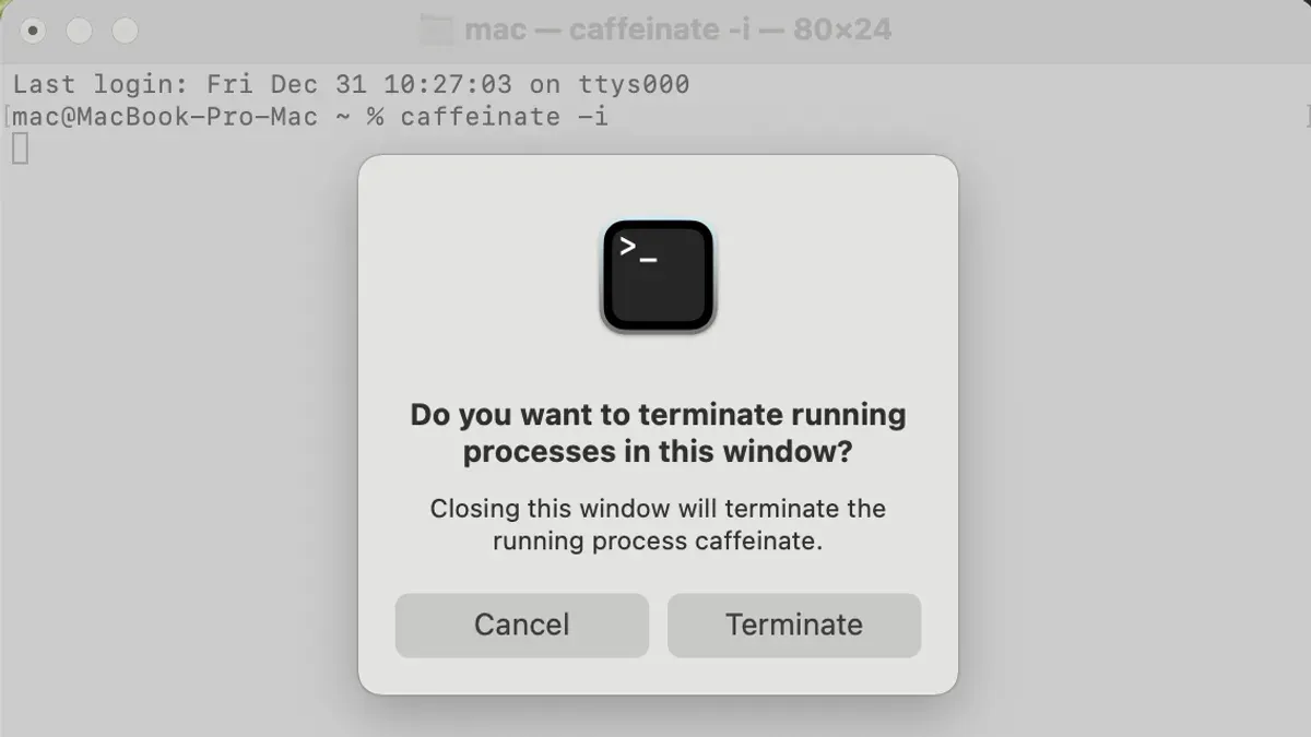 Mac Terminal window displaying caffeinate command to keep Mac awake
