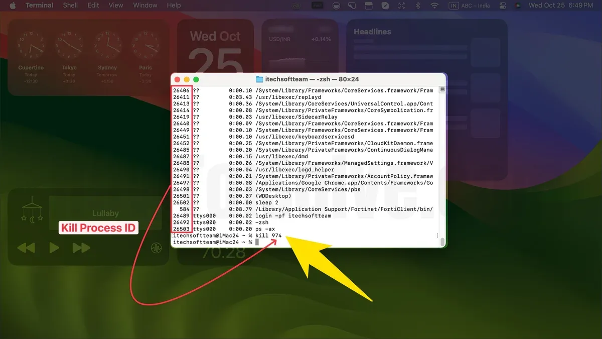 Mac Terminal window showing commands to kill a process by name in Mac Terminal