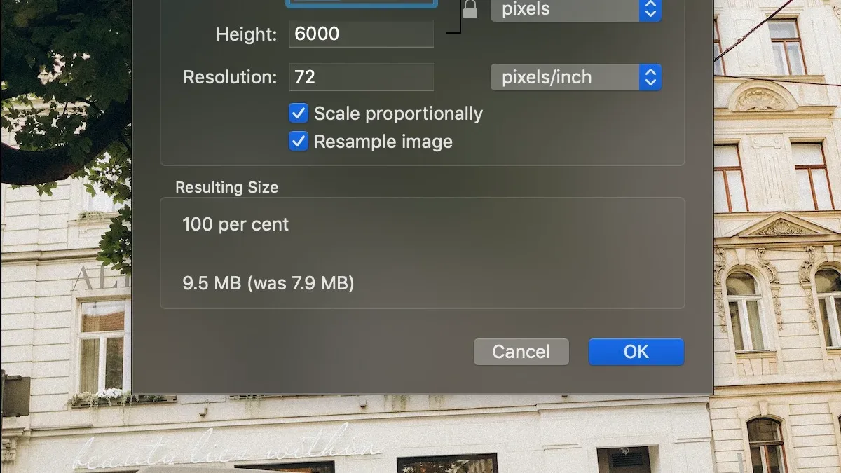 How to resize an image in Preview on Mac displayed on laptop screen