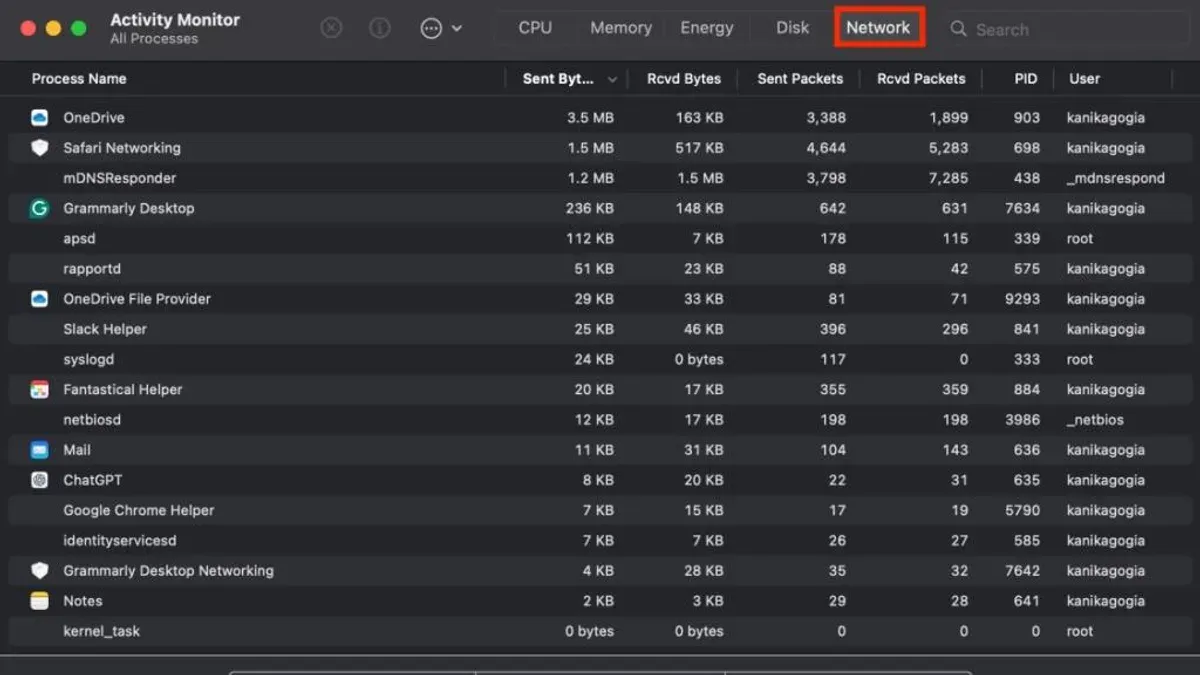 Activity Monitor displaying how to see network usage per app on a Mac screen