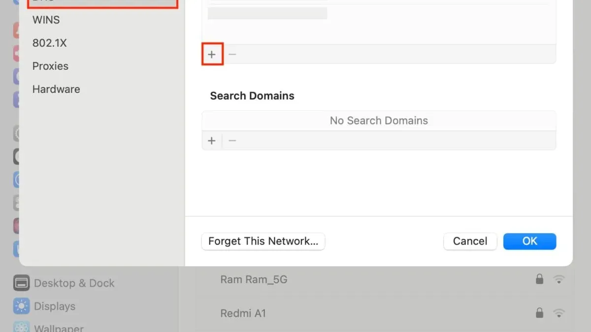 Mac screen showing how to set custom DNS on Mac in network settings