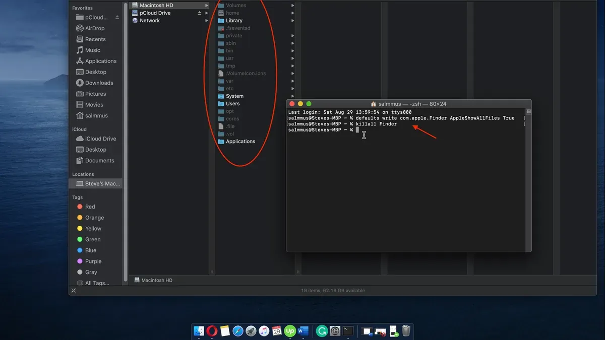 Mac Terminal window showing commands to show hidden files with Terminal in Mac Terminal