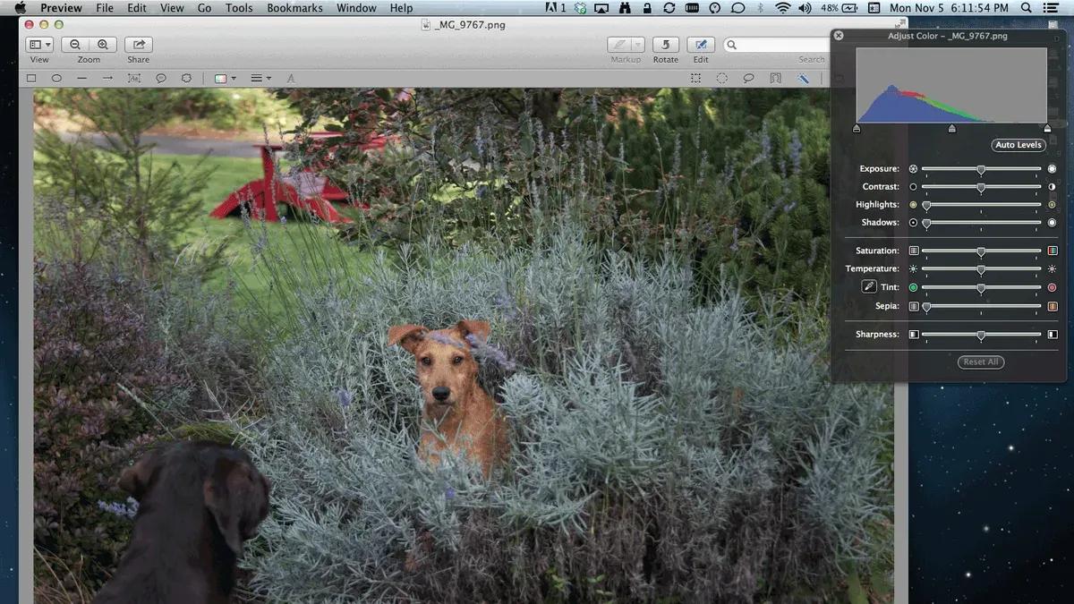 How to use Instant Alpha in Preview to remove background from a photo on Mac