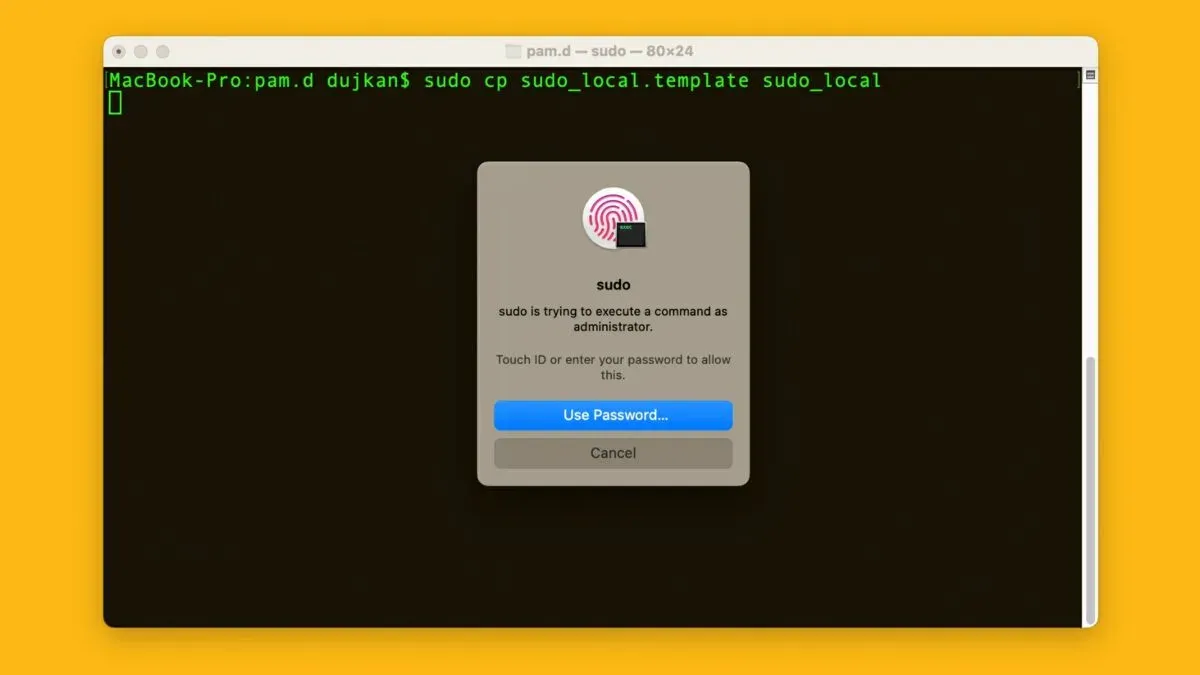 Using sudo safely in Mac Terminal on a laptop in a home office