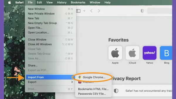 Import bookmarks from Chrome in Safari on Mac screen with bookmarks visible