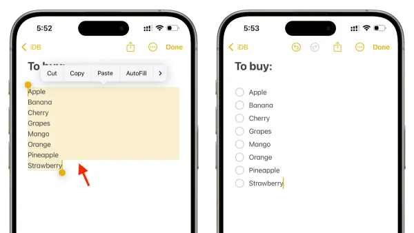 User creating a checklist in Notes app on iPhone screen
