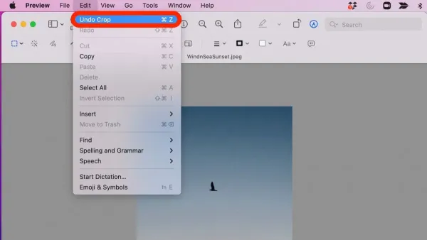 How to crop an image in Preview on Mac showing selection and crop tools