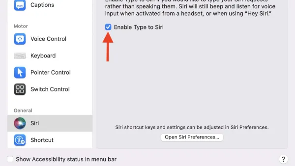 User typing commands using Type to Siri on Mac in a quiet environment