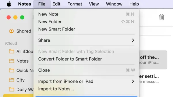 How to export notes to PDF in Notes app on an iPad screen