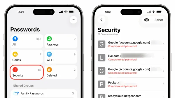 User checking how to find weak passwords in Passwords app on iPhone