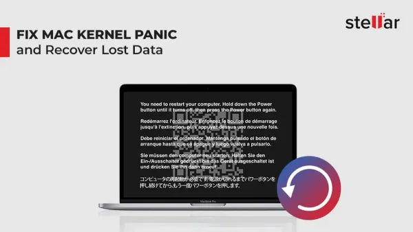 Mac Studio M4 Max displaying kernel panic error on screen