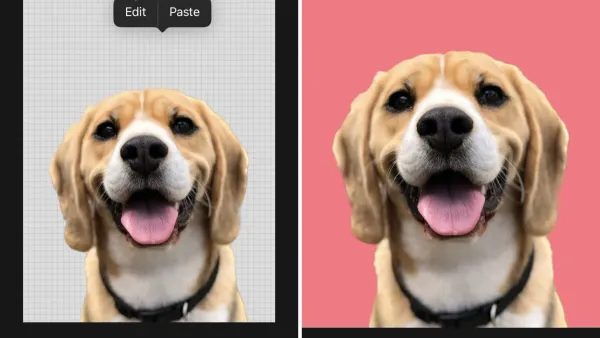 How to lift subject from background in Photos app on smartphone