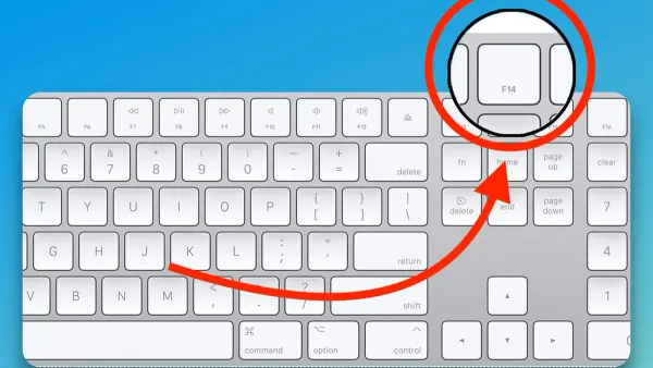 User pressing Mac keyboard shortcut to scroll page by page on a MacBook