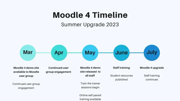 Team collaborating on a Moodle implementation timeline during a project meeting