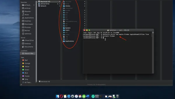 Mac Terminal window showing commands to show hidden files with Terminal in Mac Terminal