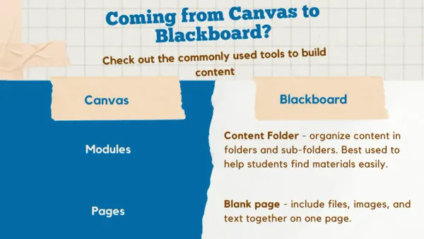 Educators collaborating on laptops while switching from Canvas to Blackboard