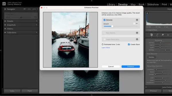 Using AI Denoise in Lightroom Classic on Mac to reduce noise in a photo